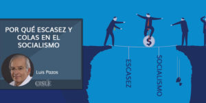 Lee más sobre el artículo Por qué escasez y colas en el socialismo