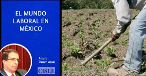 Lee más sobre el artículo El mundo laboral en México